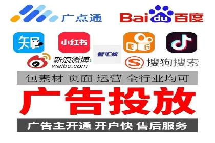 行业领先的SEM投放效果案例解析